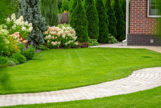 Create Your Dream Backyard in Just 5 Easy Steps.